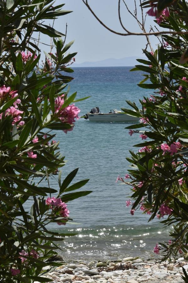 Seaside Home In Kardiani/Giannaki Bay - Agnes'S Home Dış mekan fotoğraf